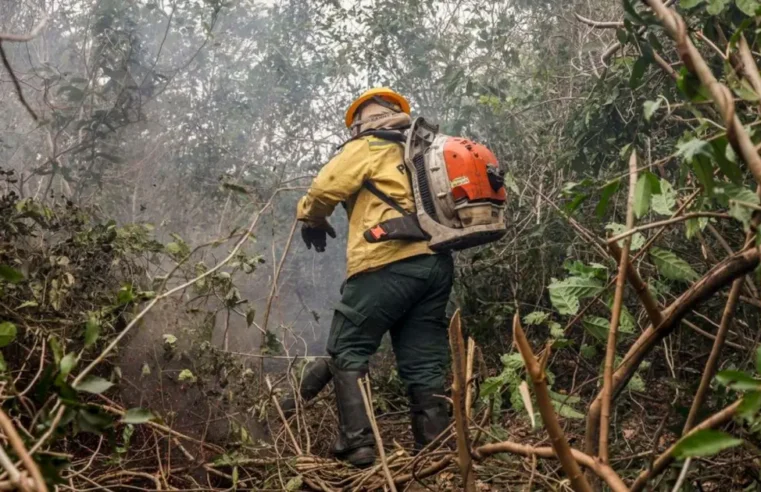 Incêndios do Amazonas indicam ação criminosa, diz ministro