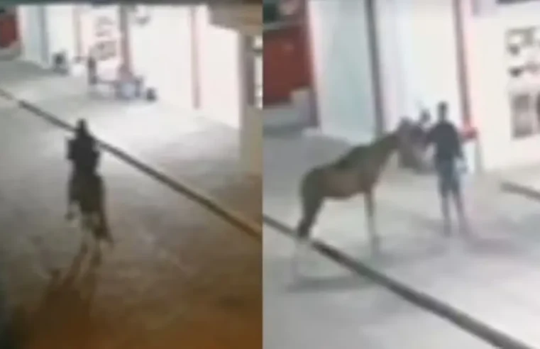 Homem usa cavalo para assaltar lanchonete de rodoviária na Bahia