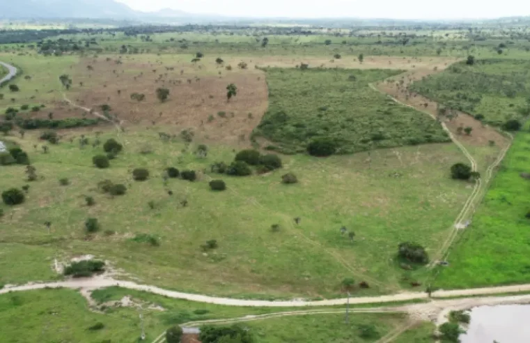 MP-BA abre inquérito civil contra fazenda do grupo André Guimarães por suposto dano ambiental; veja detalhes