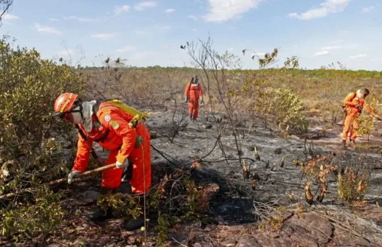 Bahia amplia alertas contra o El Niño em todo o estado e prevê calor extremo de até 41 ºC
