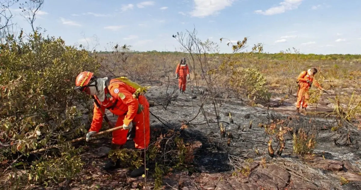 Bahia amplia alertas contra o El Niño em todo o estado e prevê calor extremo de até 41 ºC